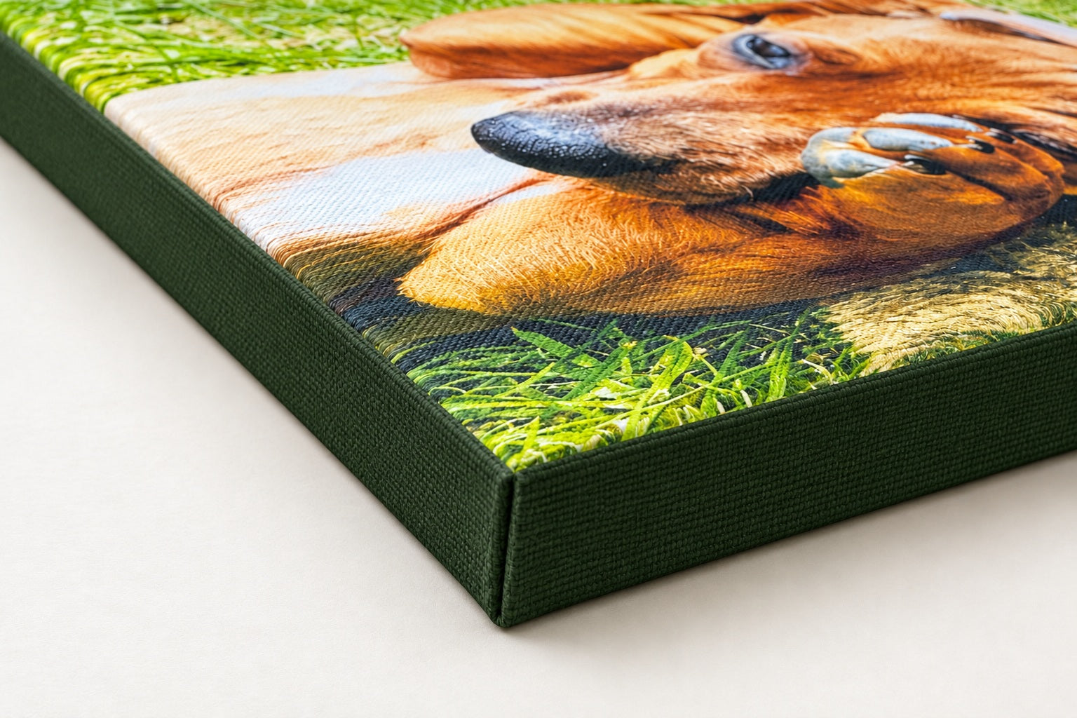 Forest-green plain side treatment on a Slim canvas corner with a dachshund photograph.