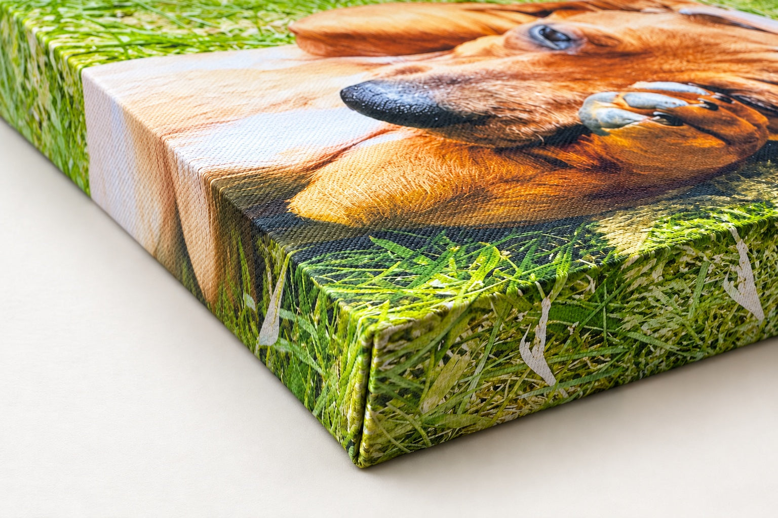 Mirror side treatment on a Chunky canvas corner with a dachshund photograph.