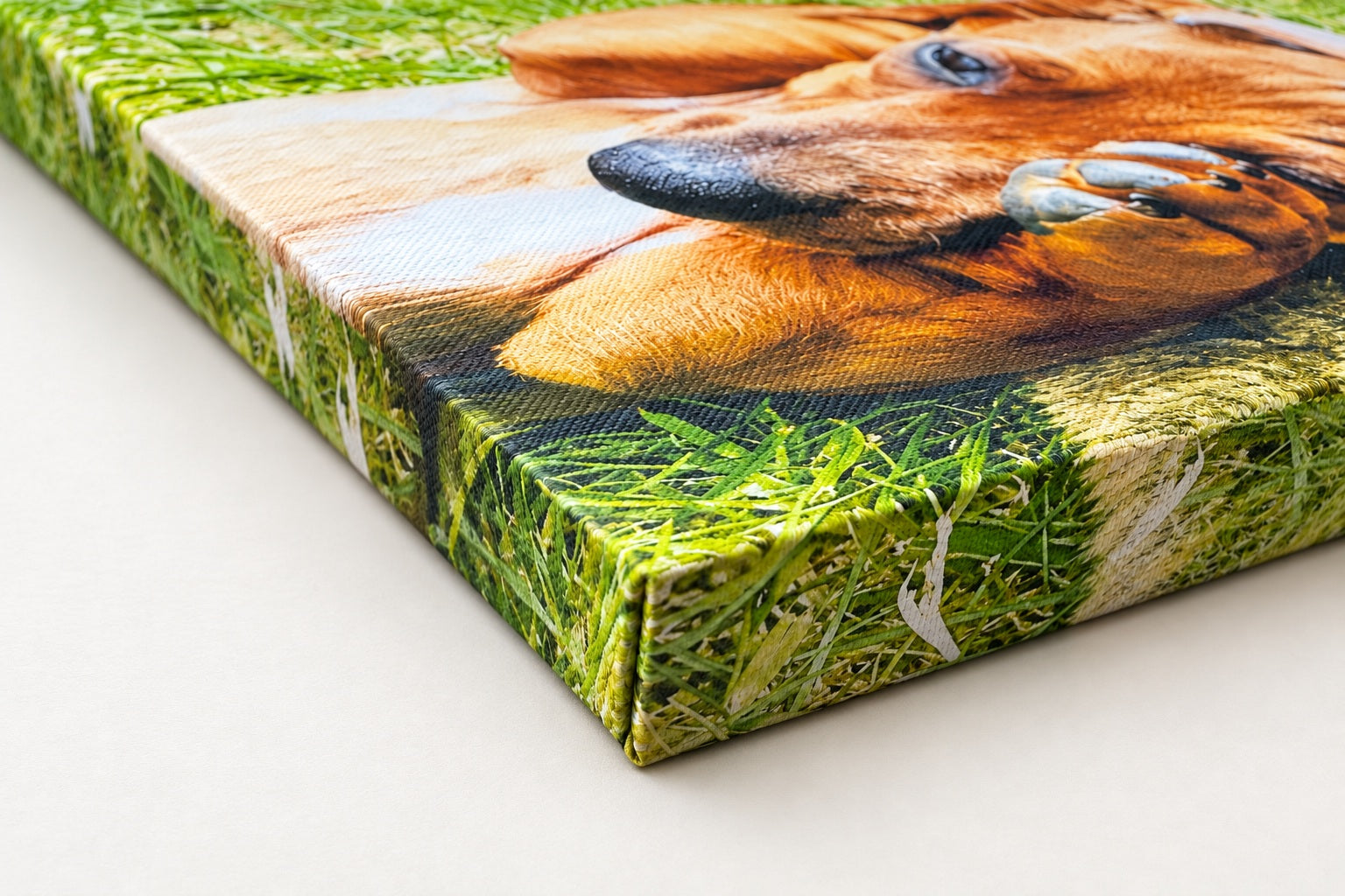Mirror side treatment on a Slim canvas corner with a dachshund photograph.