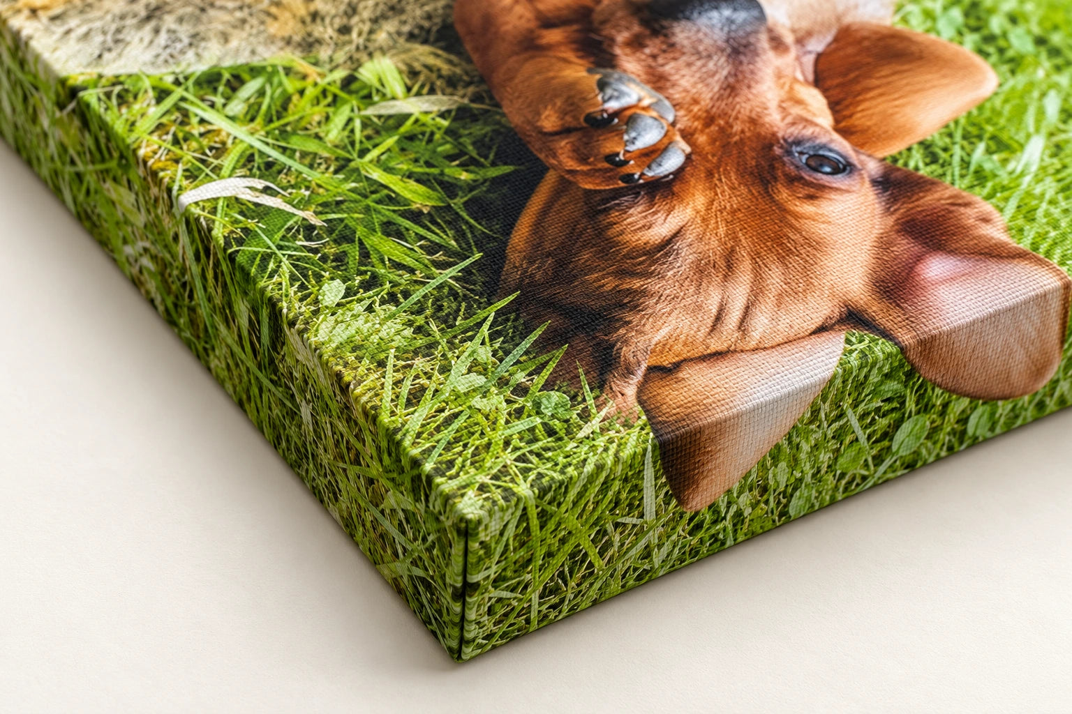 Close view of textured photo canvas wrapping around a neat corner