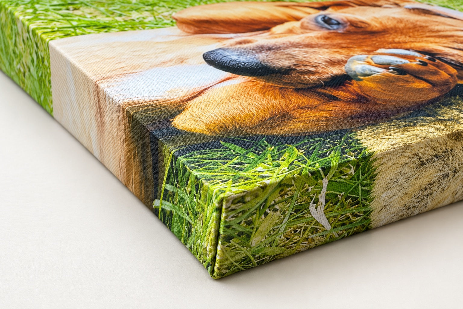 Gallery side treatment on a Chunky canvas corner with a dachshund photograph.