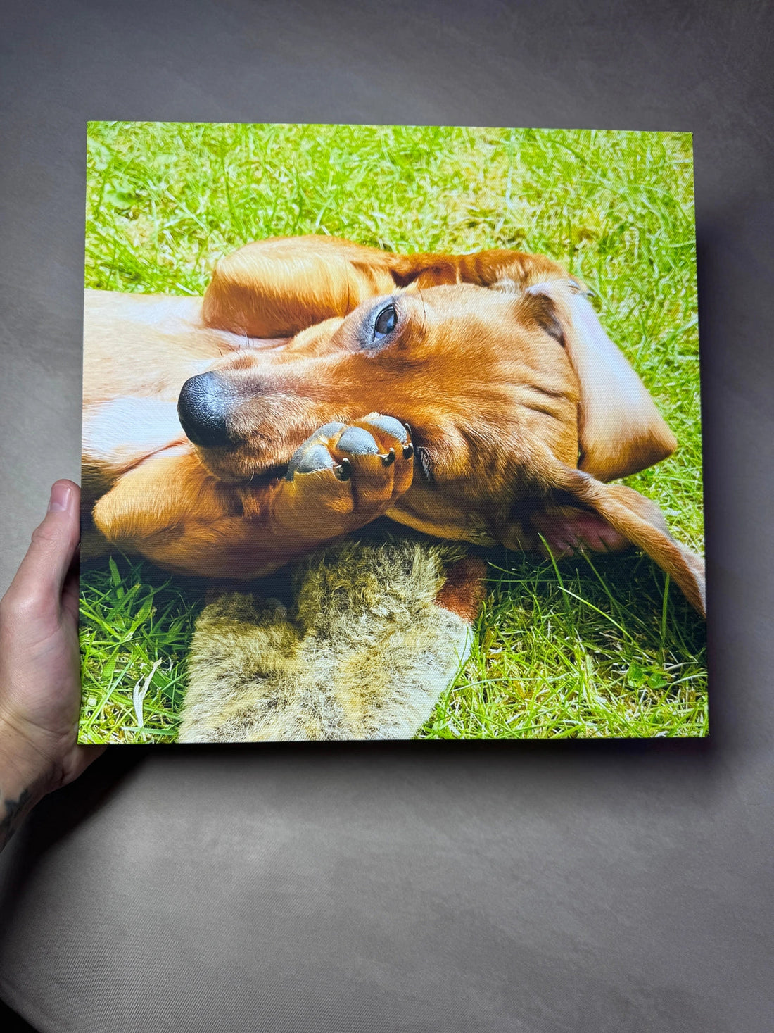 Genuine photograph of Ivy’s canvas held up in Jamie’s home.