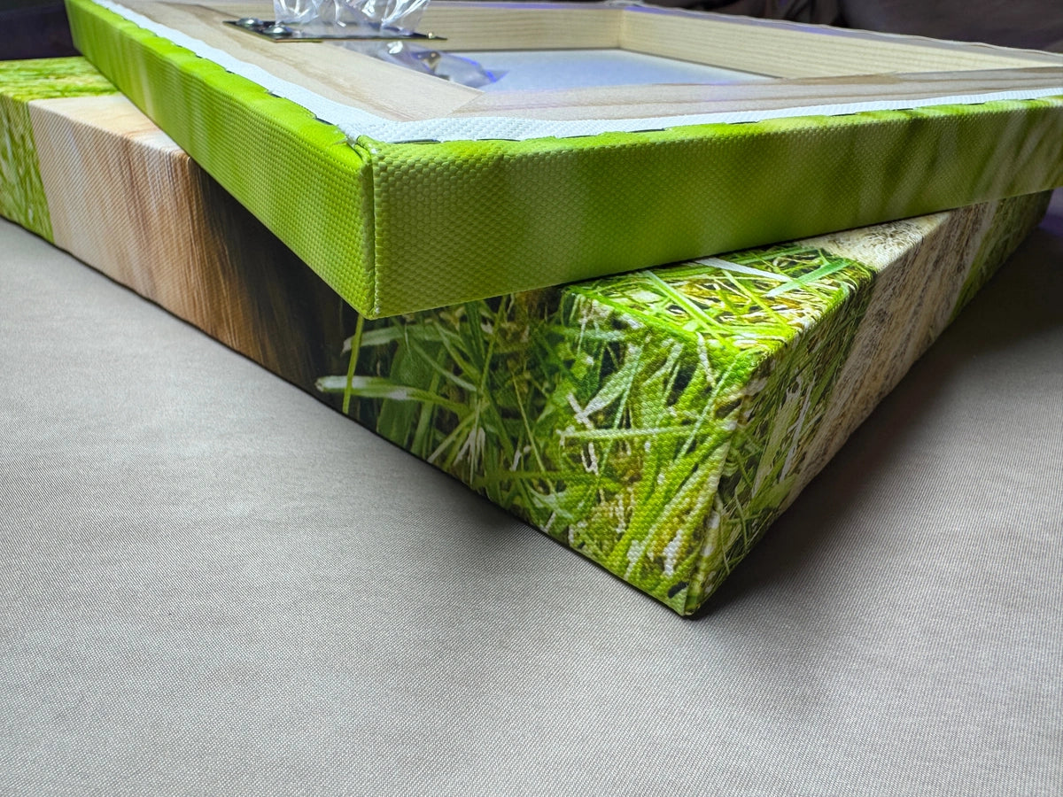 Canvas back and pine frame above the wrapped Ivy photo canvas corner