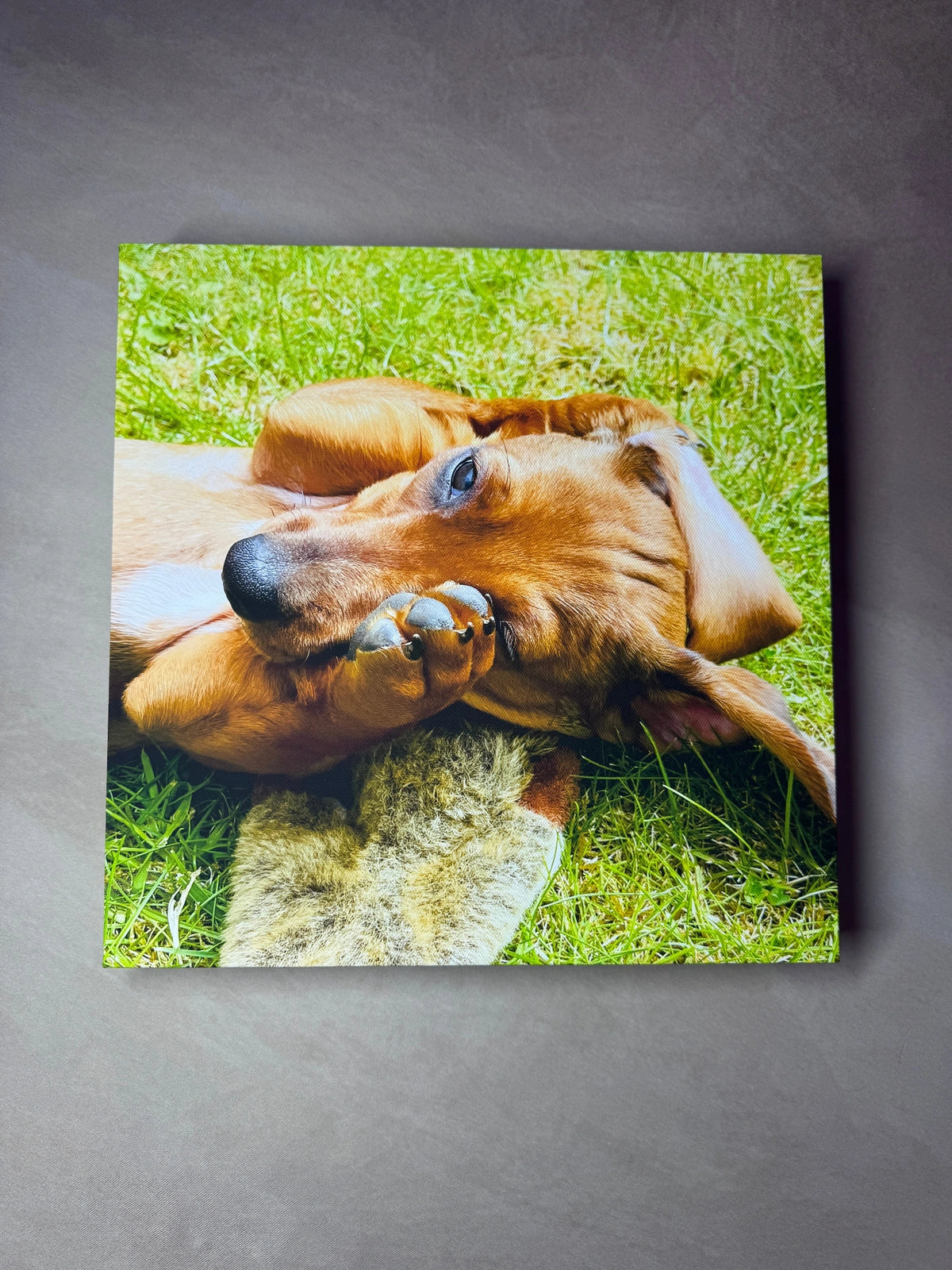 Front view of the finished Ivy photo canvas