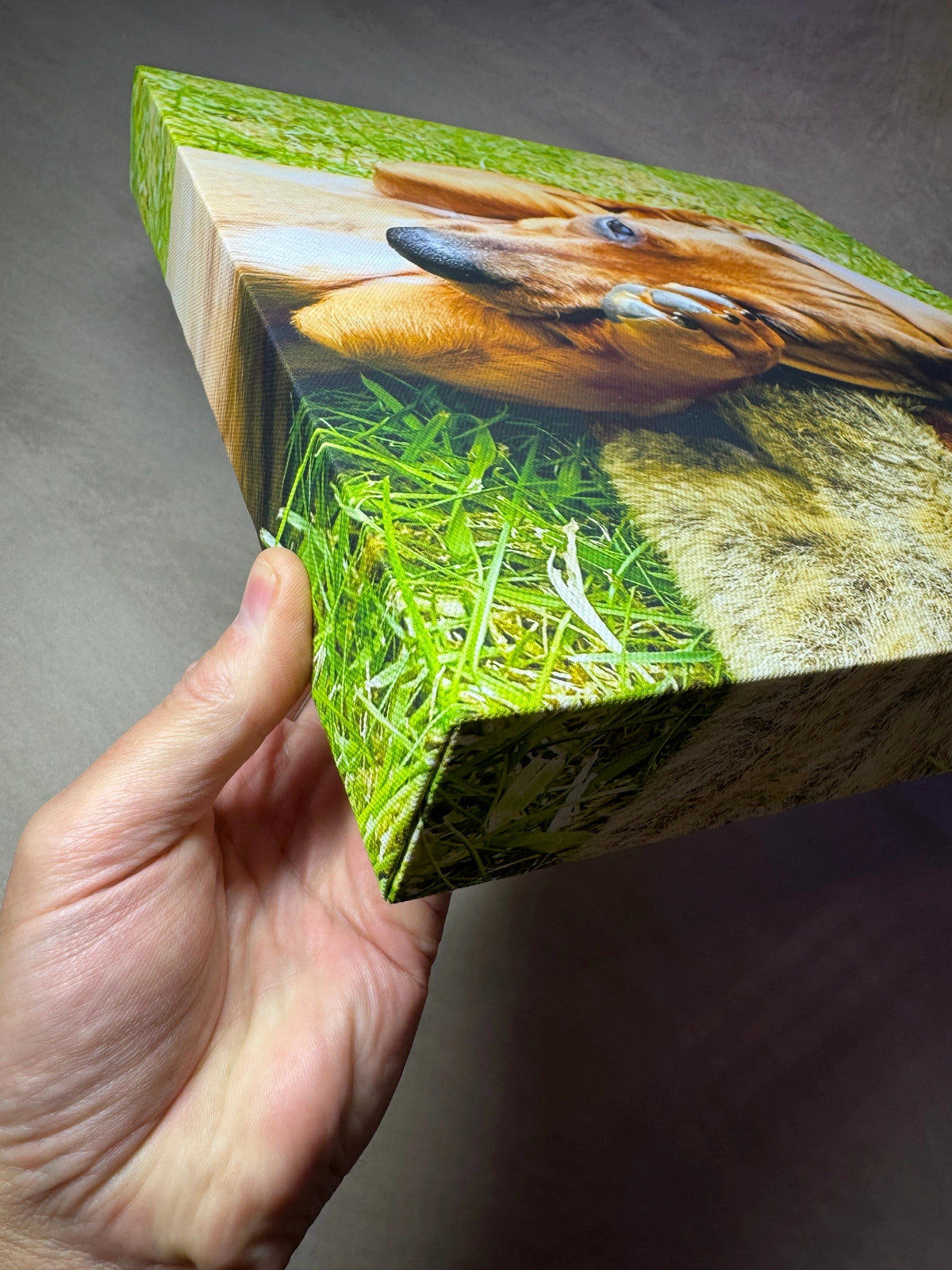 Ivy canvas held at an angle showing its front and wrapped corner