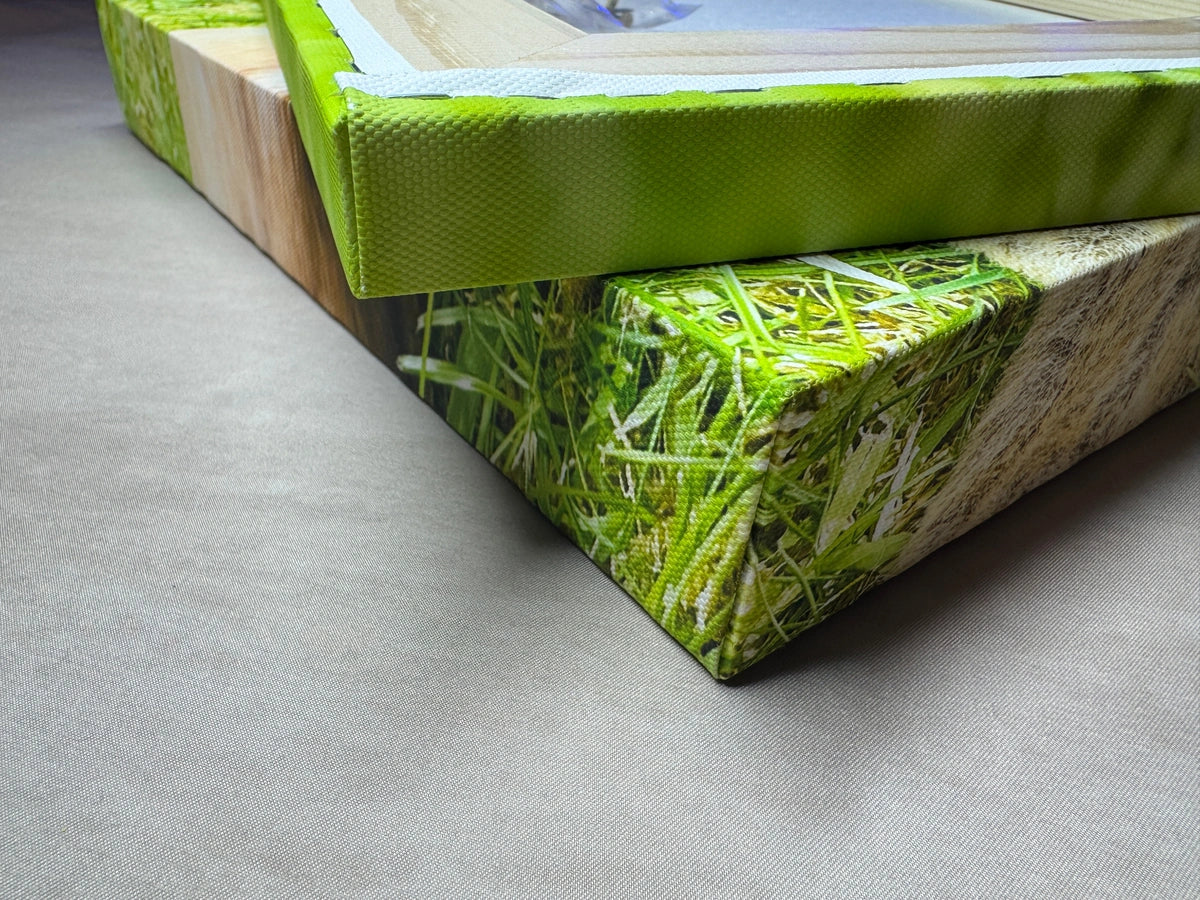 Reverse edge of one canvas resting above the front corner of the Ivy canvas