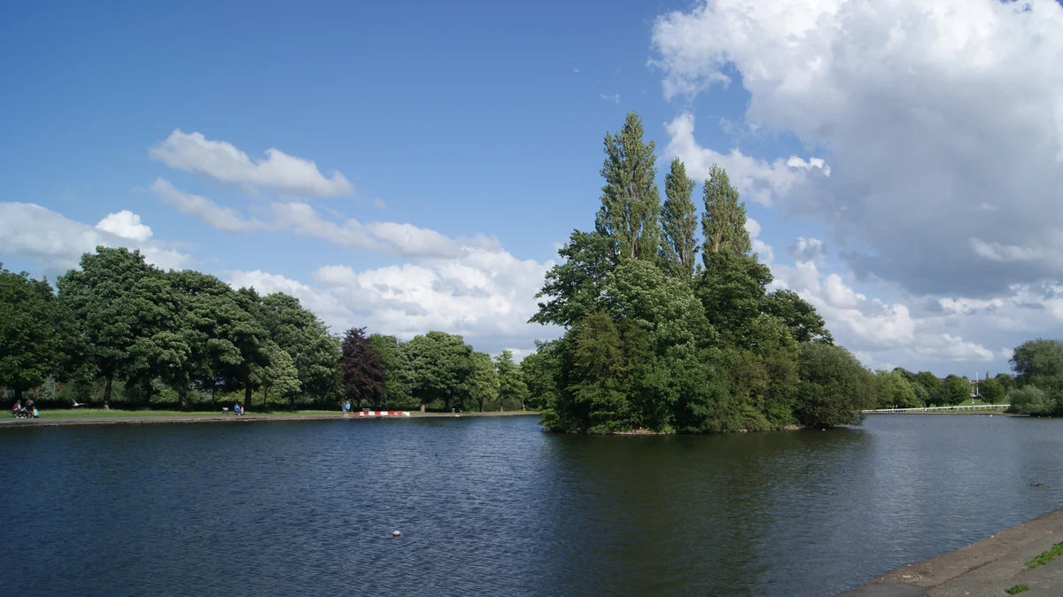 Lake and tree-covered island at Pontefract Park