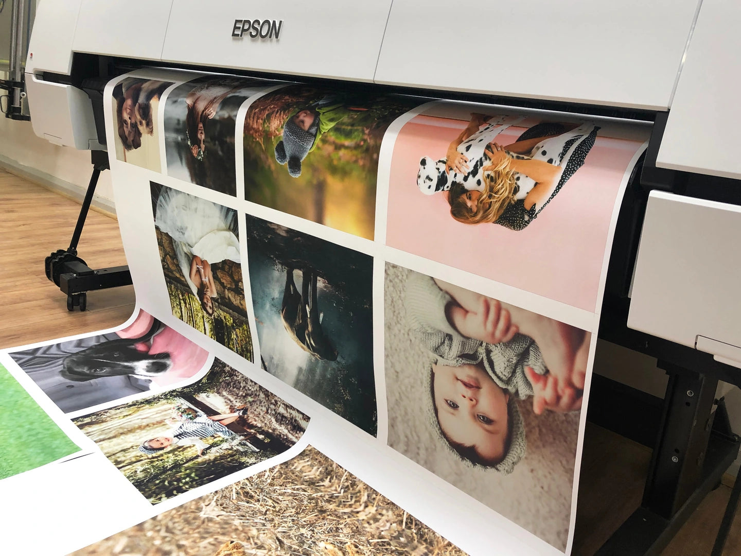 Photographs being printed on canvas in our Epson printer