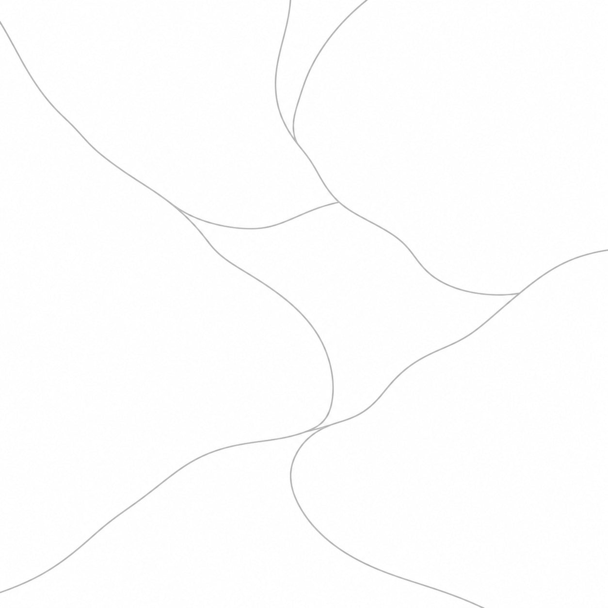 A sparse pale grey outline of flowing abstract shape boundaries on white.