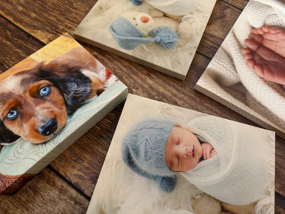 Dog and baby photo canvases photographed together on the worktop