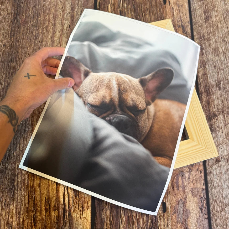 Dog photograph printed on canvas, held above a pine frame before stretching