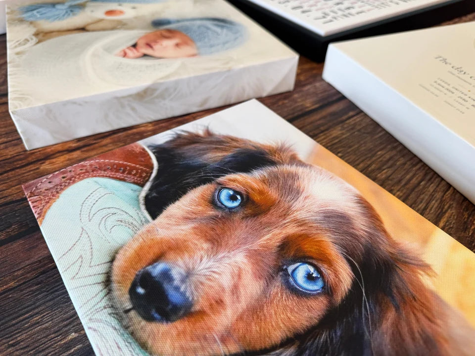 A dog photo canvas beside other finished prints