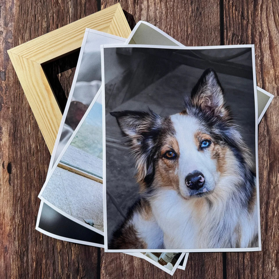Printed dog photo canvases laid over solid pine frames before stretching