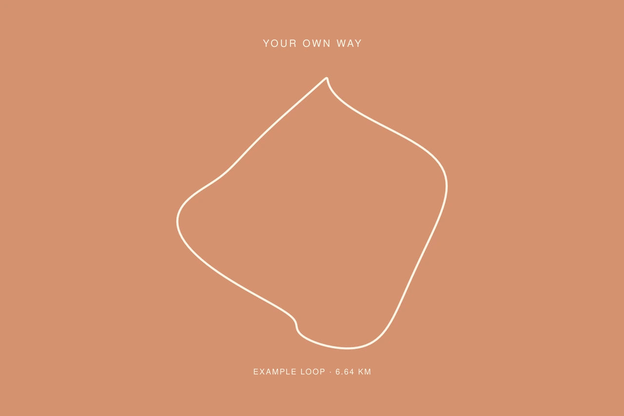 Warm colour, clear shape using the same fictional GPX loop, with its ordered points preserved.