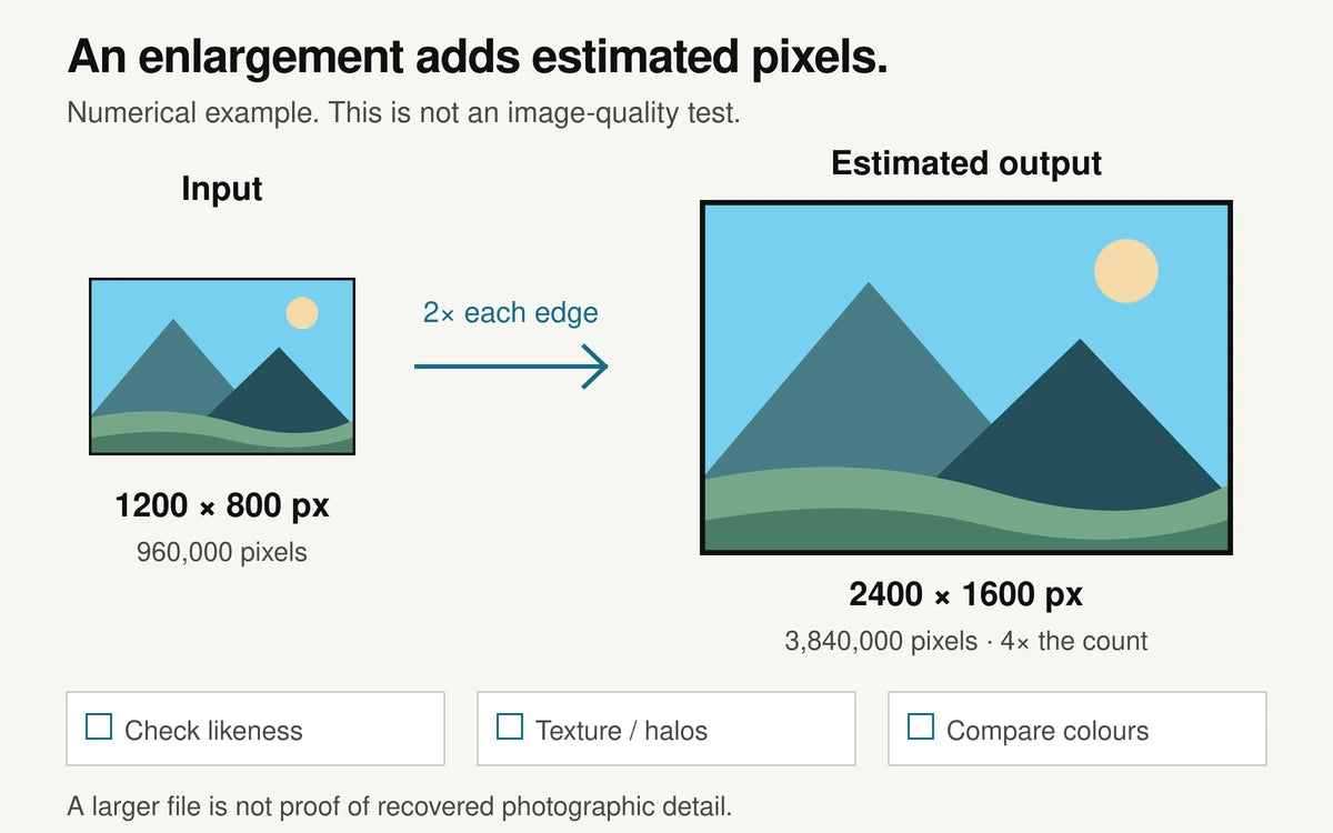 Two-times enlargement doubles the width and height, with checks for likeness, texture and colours.