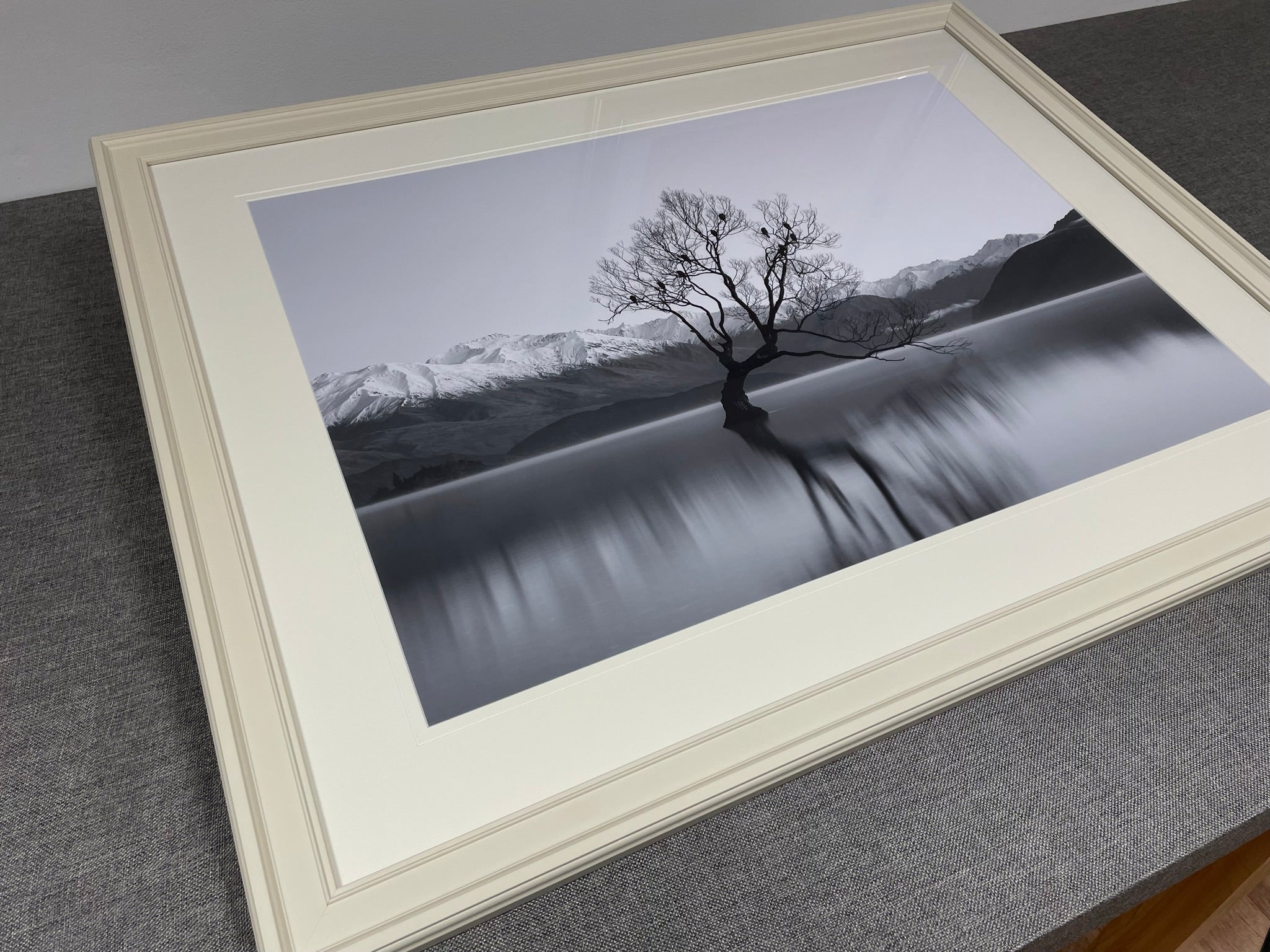 A black-and-white tree photograph in a pale frame and white mount