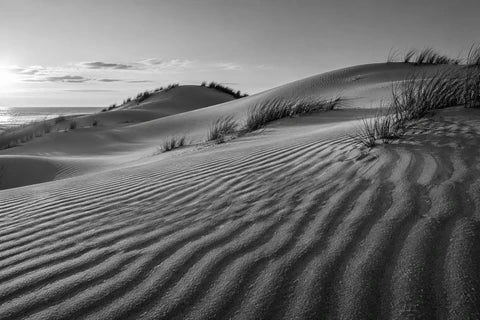 Black-and-white dunes with fine wind ripples, long shadows and sparse grasses.