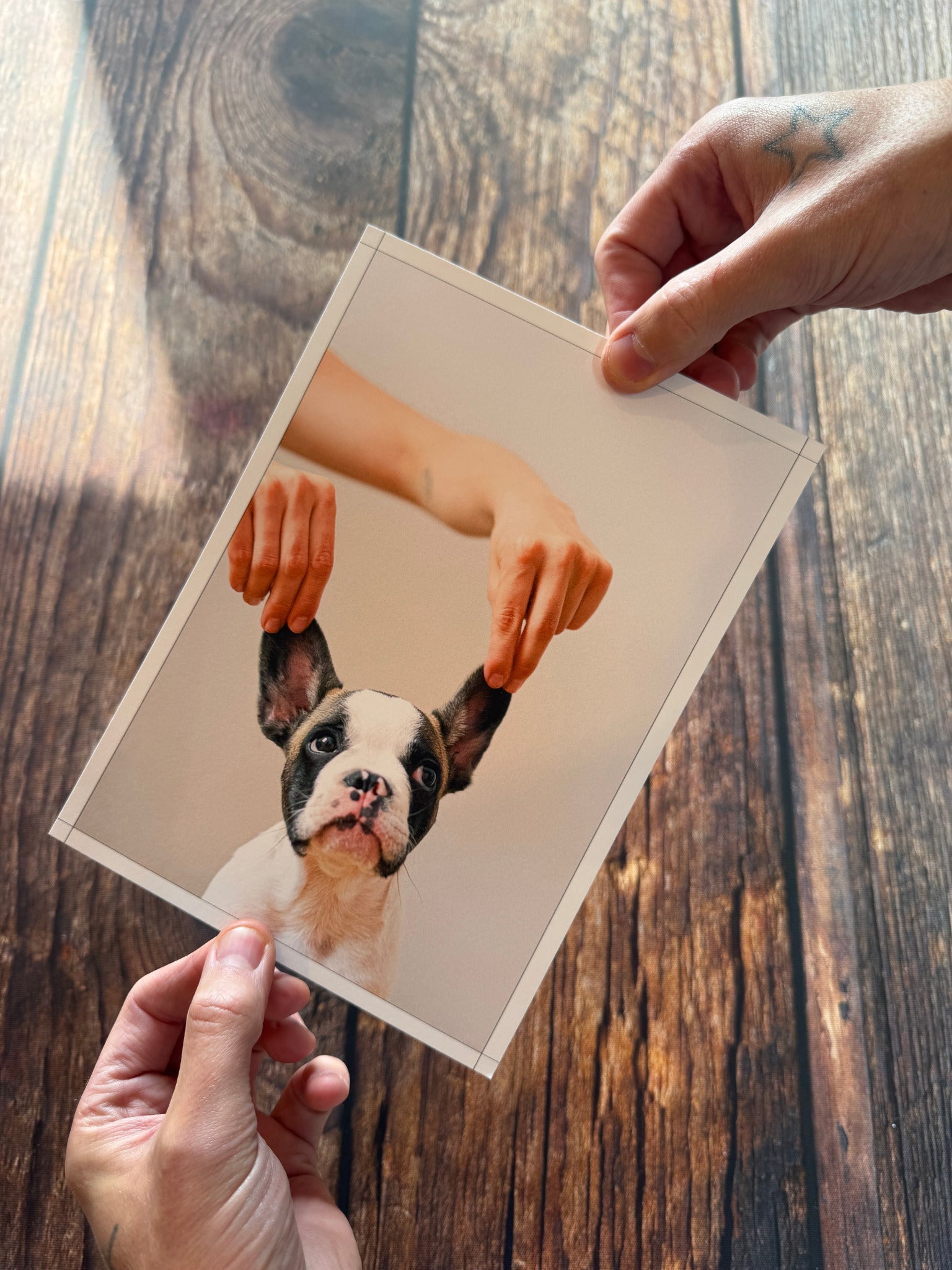A small dog photo poster held by two hands above a wooden table.