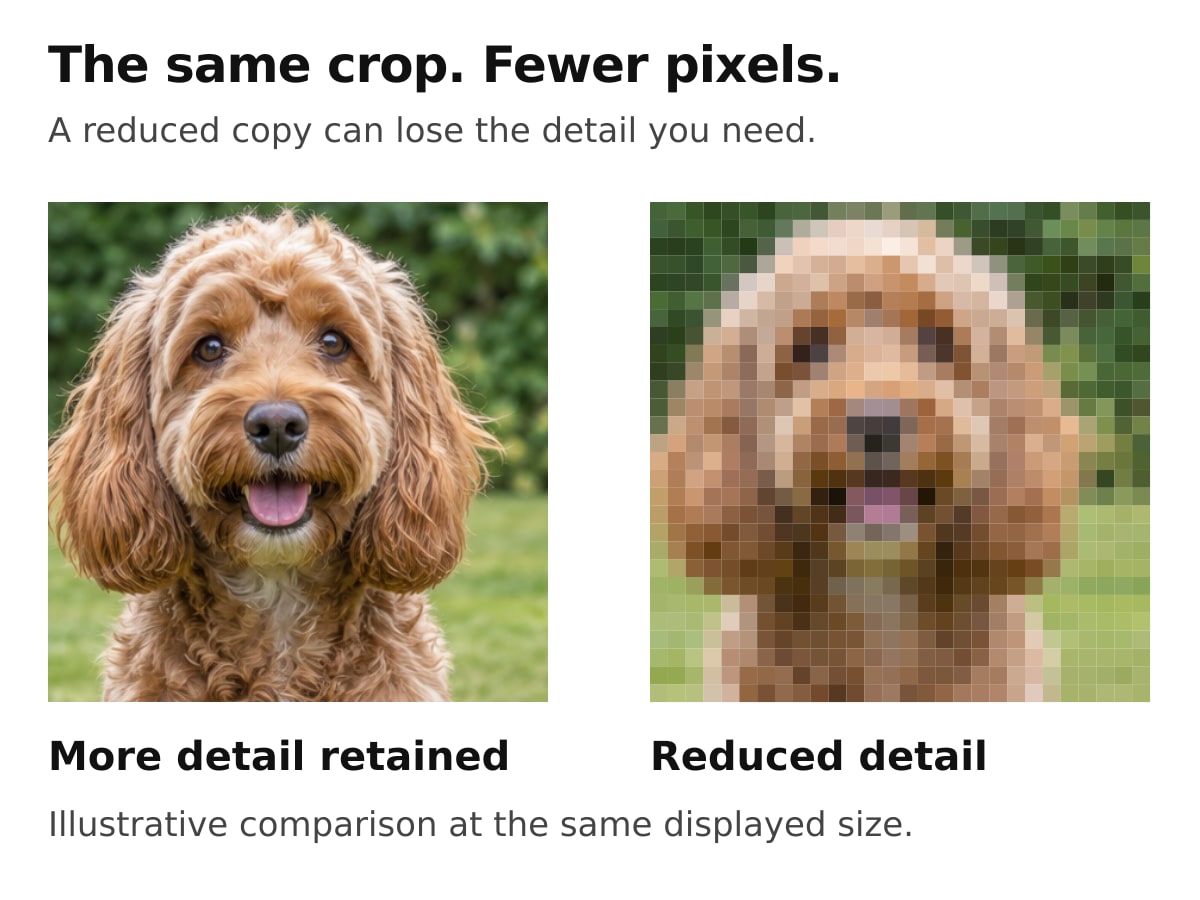 The same dog-face crop shown with retained detail and a deliberately reduced pixel count at the same displayed size.