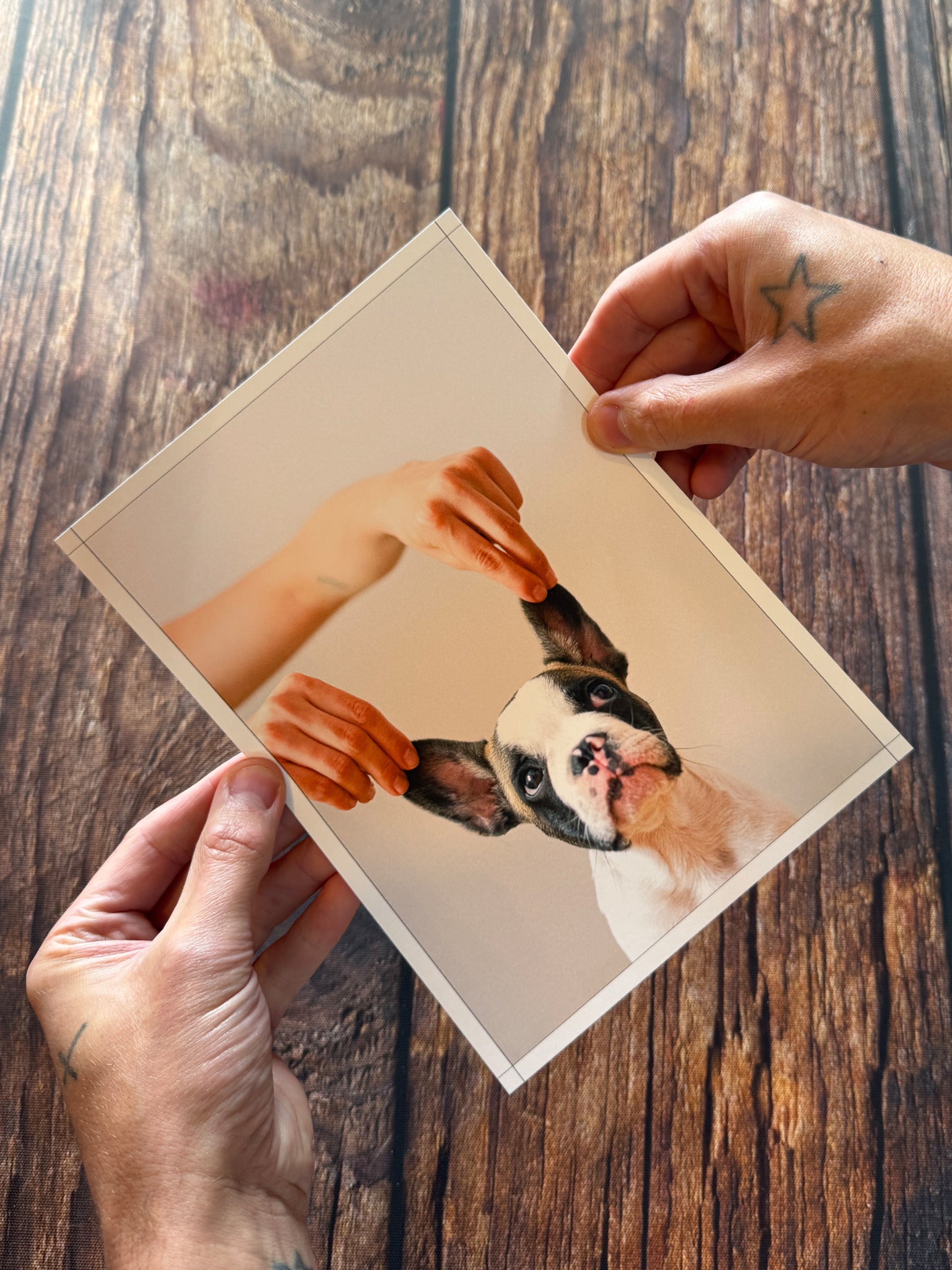 A small dog photo print held above a dark wooden table.