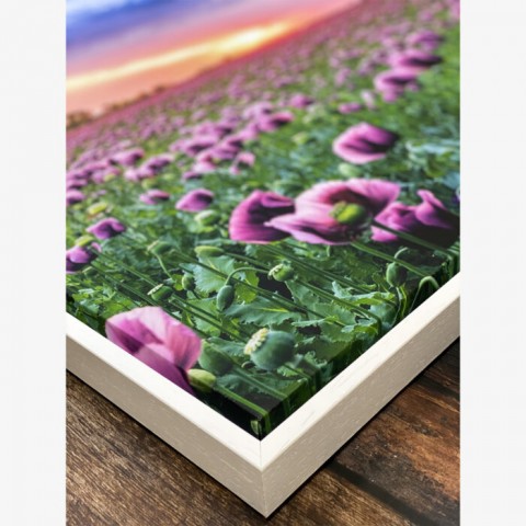Spring Sunset Framed Canvas Print