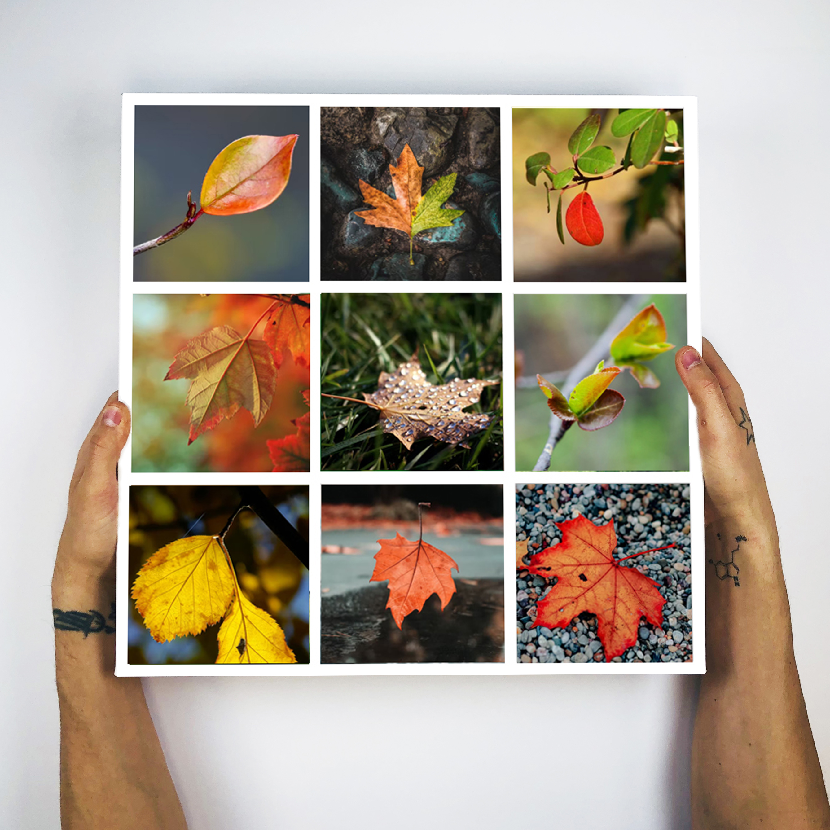 Beautiful nine photo collage print using colourful images of autumn leaves displayed onto a bespoke custom canvas print