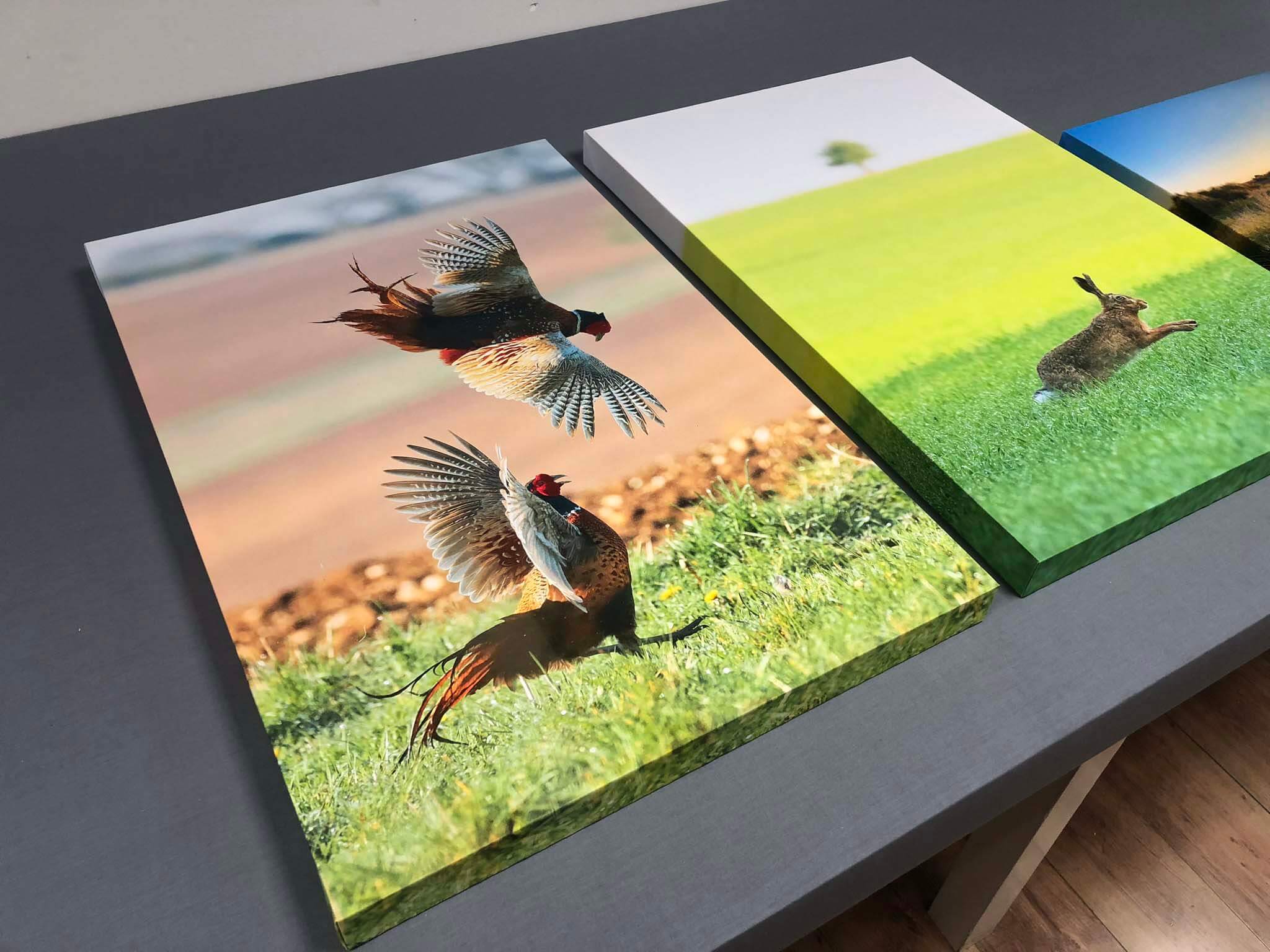 photograph of animals in nature printed onto hand made custom canvas pictures